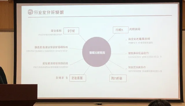 分析方法在信息咨询中的实际应用与价值体现